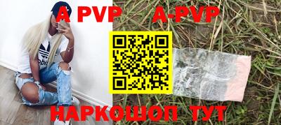 стафф Дубна