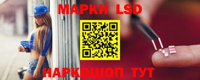 стафф Дубна