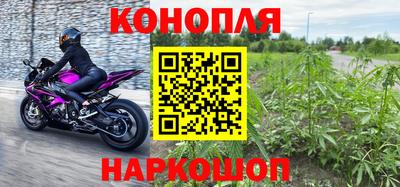 стафф Дубна