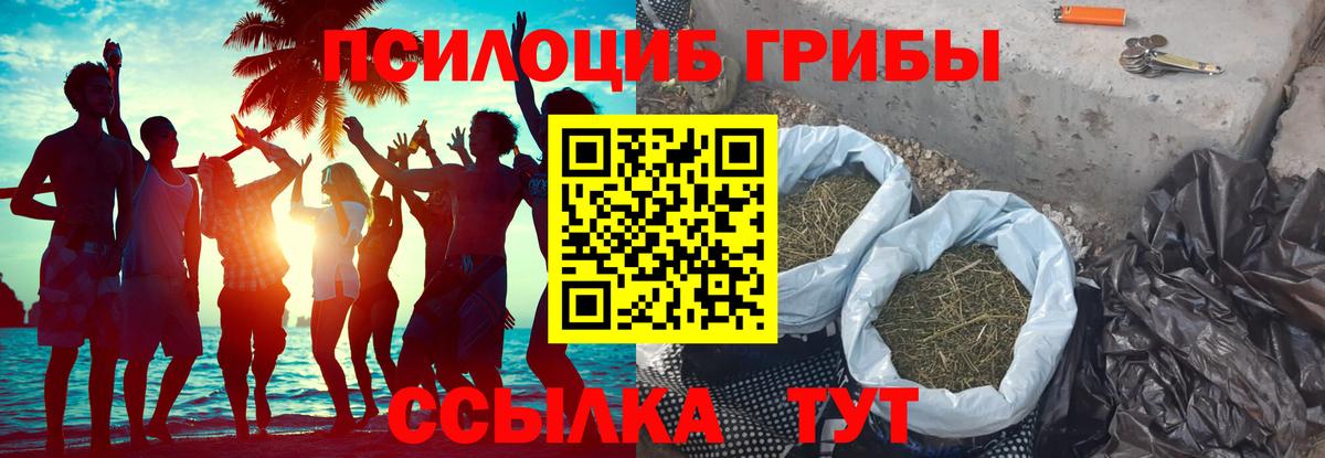 Кубинка  Галлюциногенные грибы мицелий  Вход с VPN 