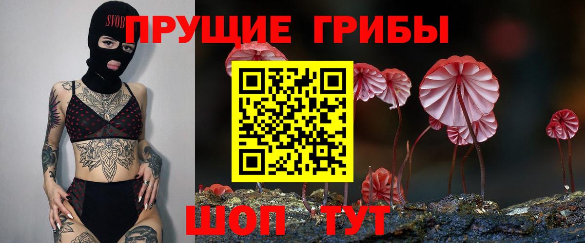 Галлюциногенные грибы Magic Shrooms Кубинка